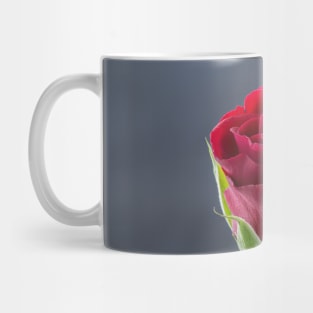 Red Rose side view Mug